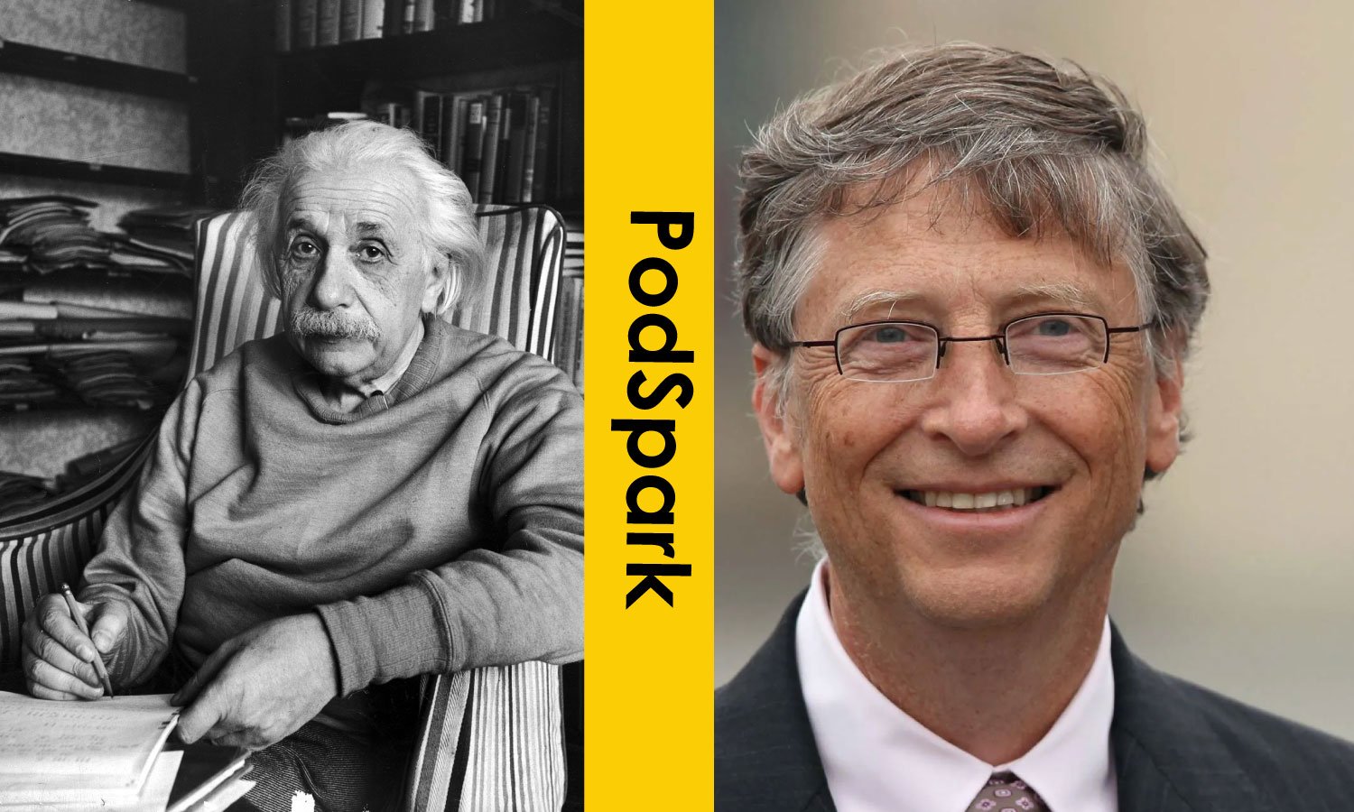 Albert Einstein and Bill Gates