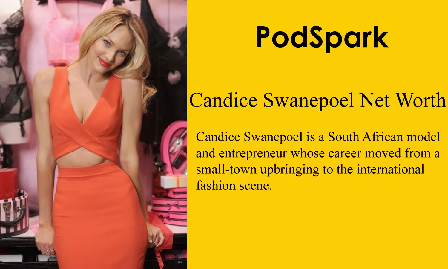 Candice Swanepoel Net Worth