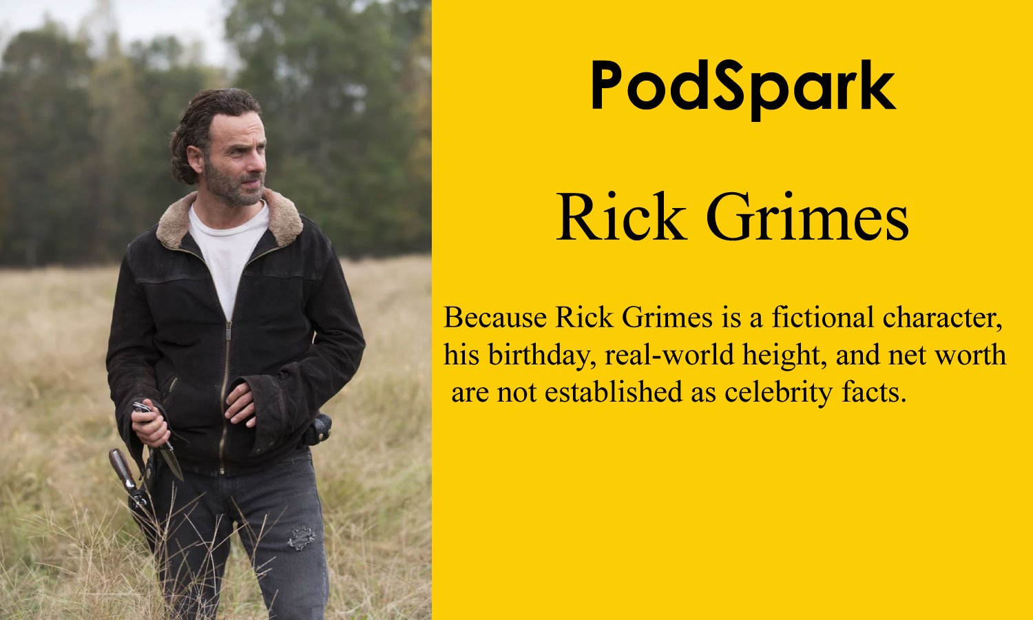 Rick Grimes,