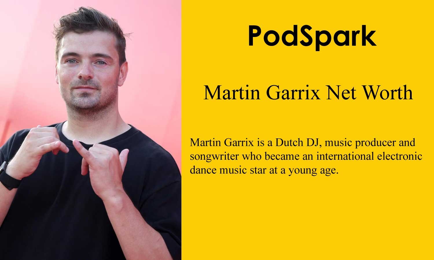 Martin Garrix Net Worth